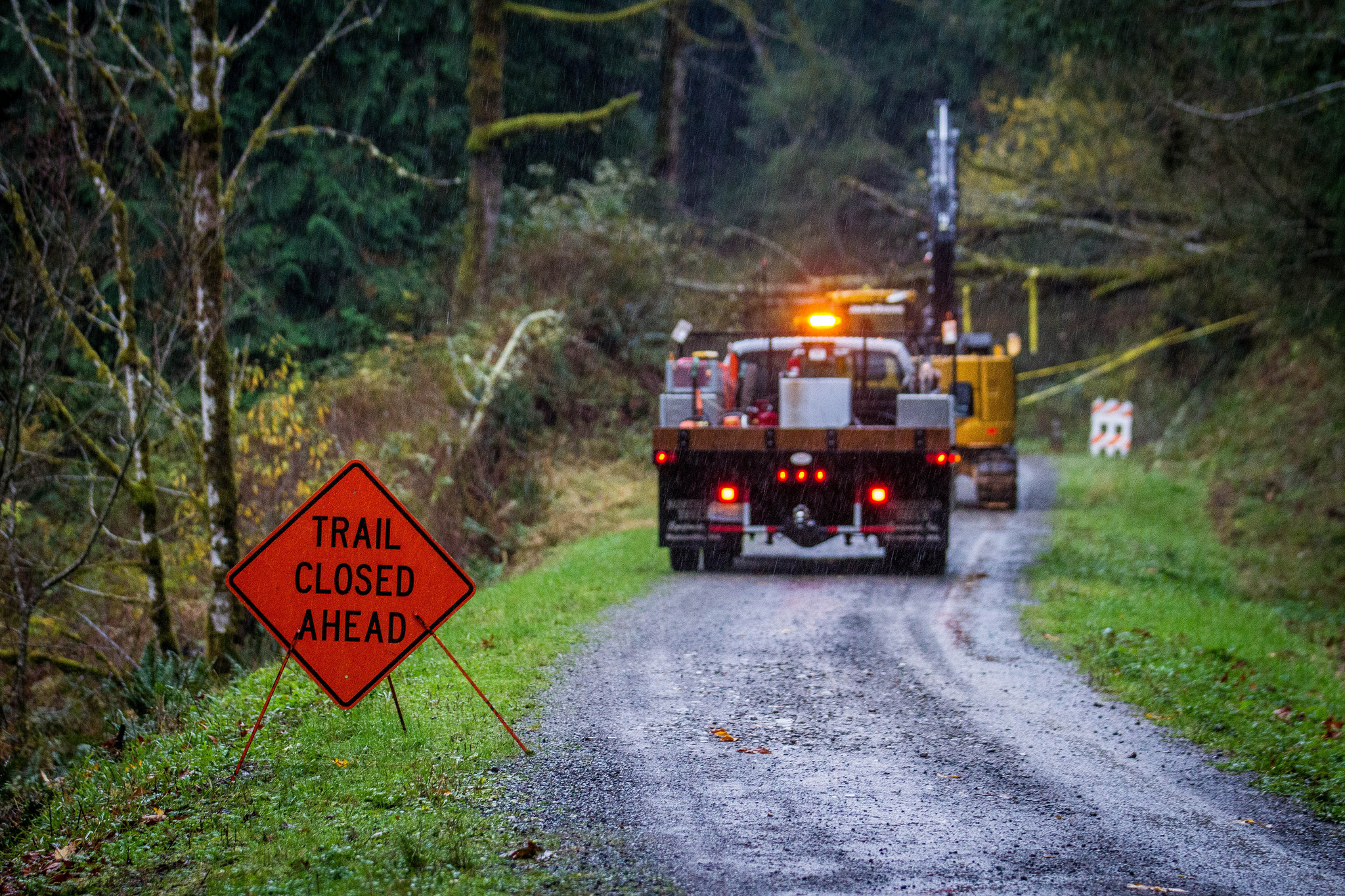 If You See Something…