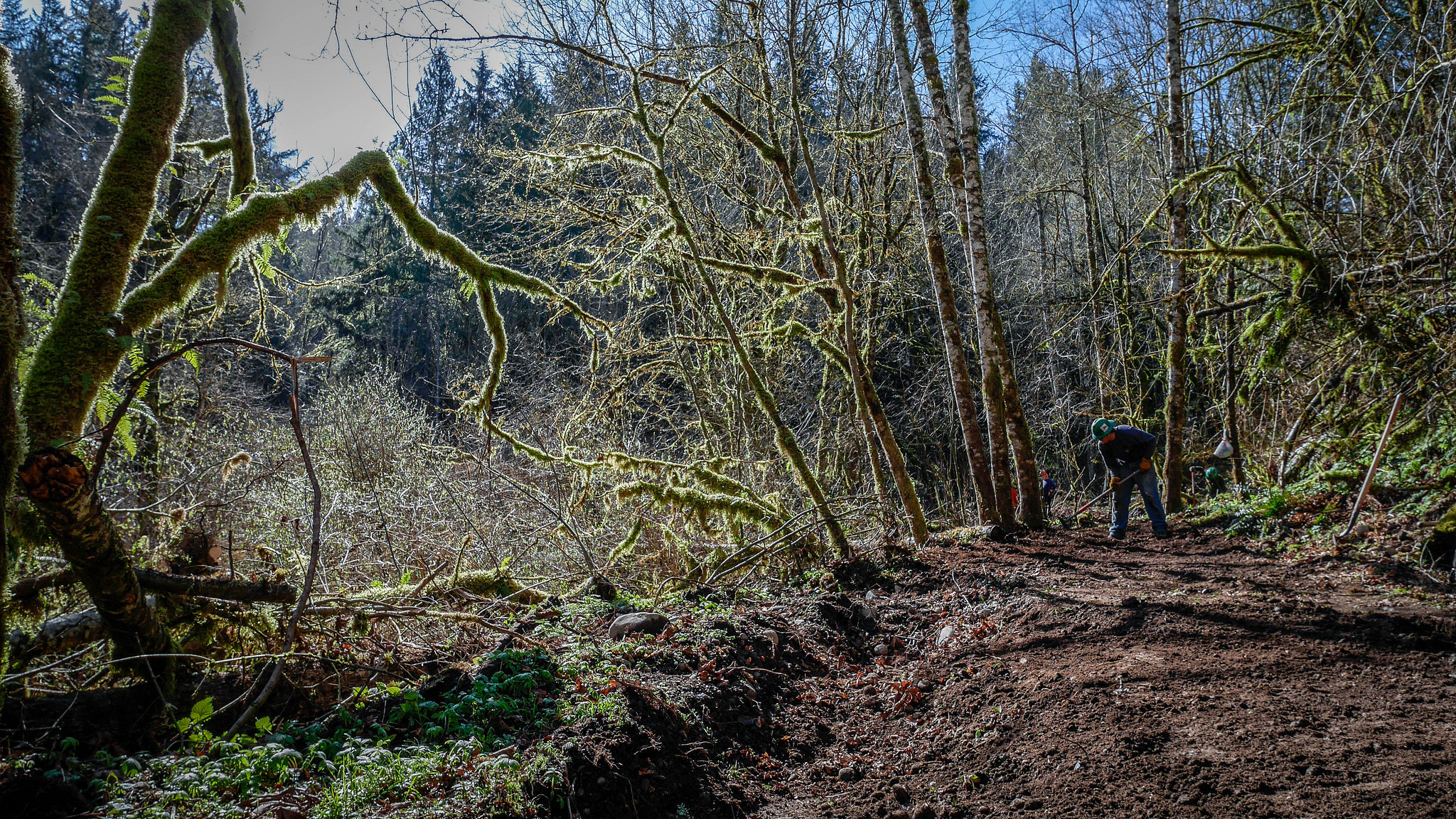 O Grady Natural Area + WTA =’s more trail