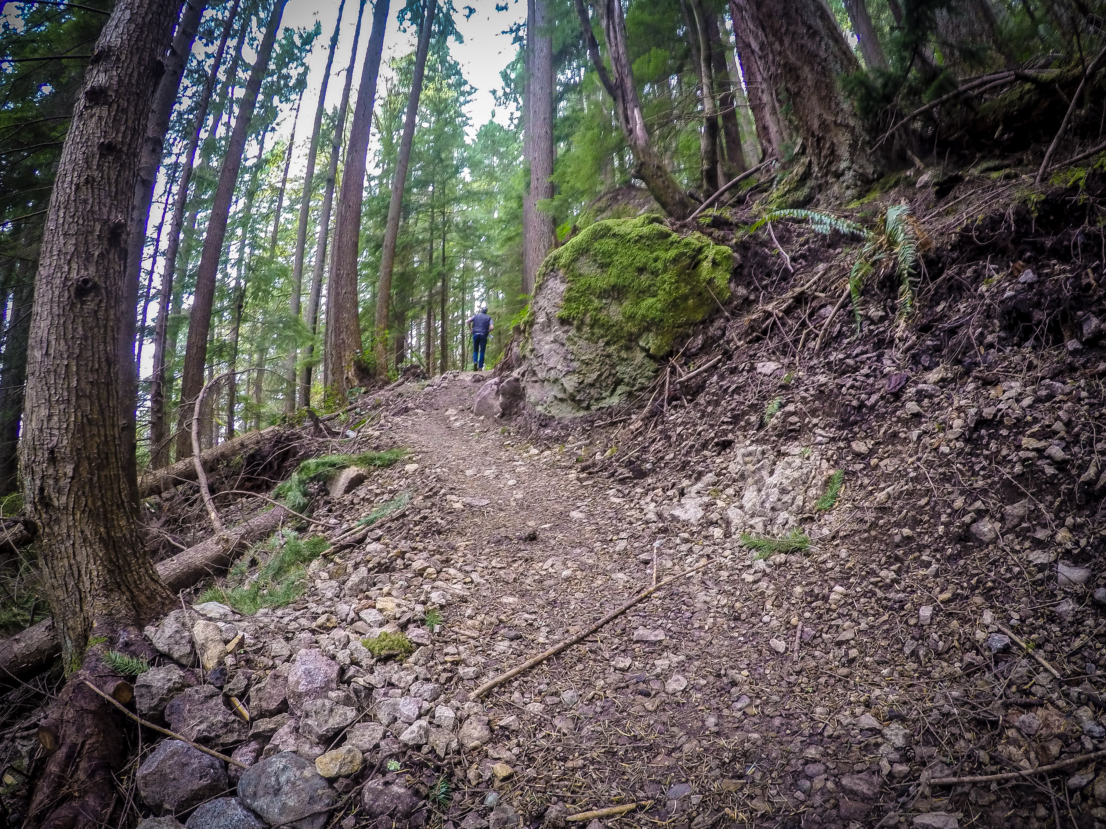 Password: Margaret’s Way