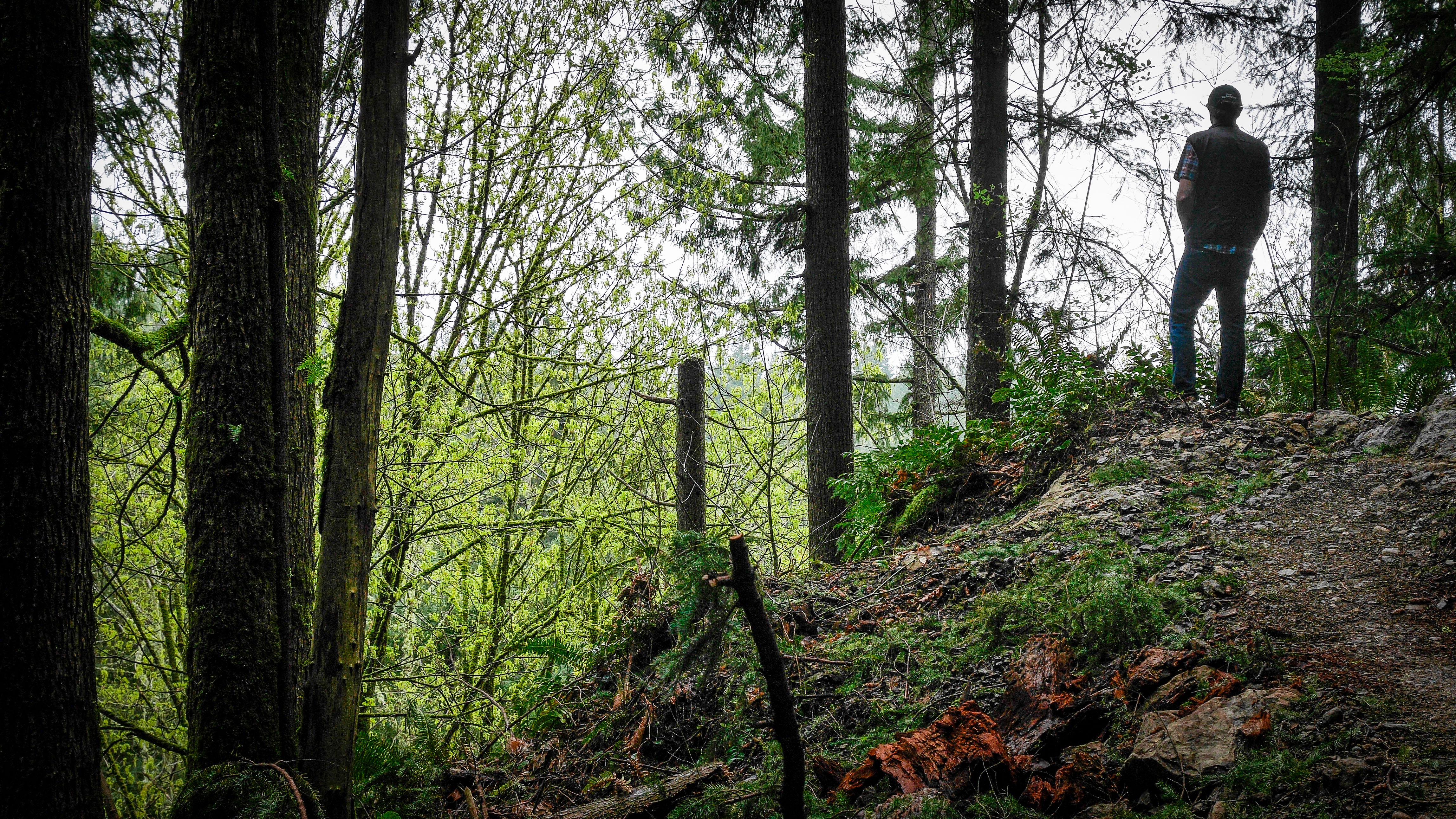 “Give me solitude, give me Nature, give me again O Nature your primal sanities!” – Walt Whitman