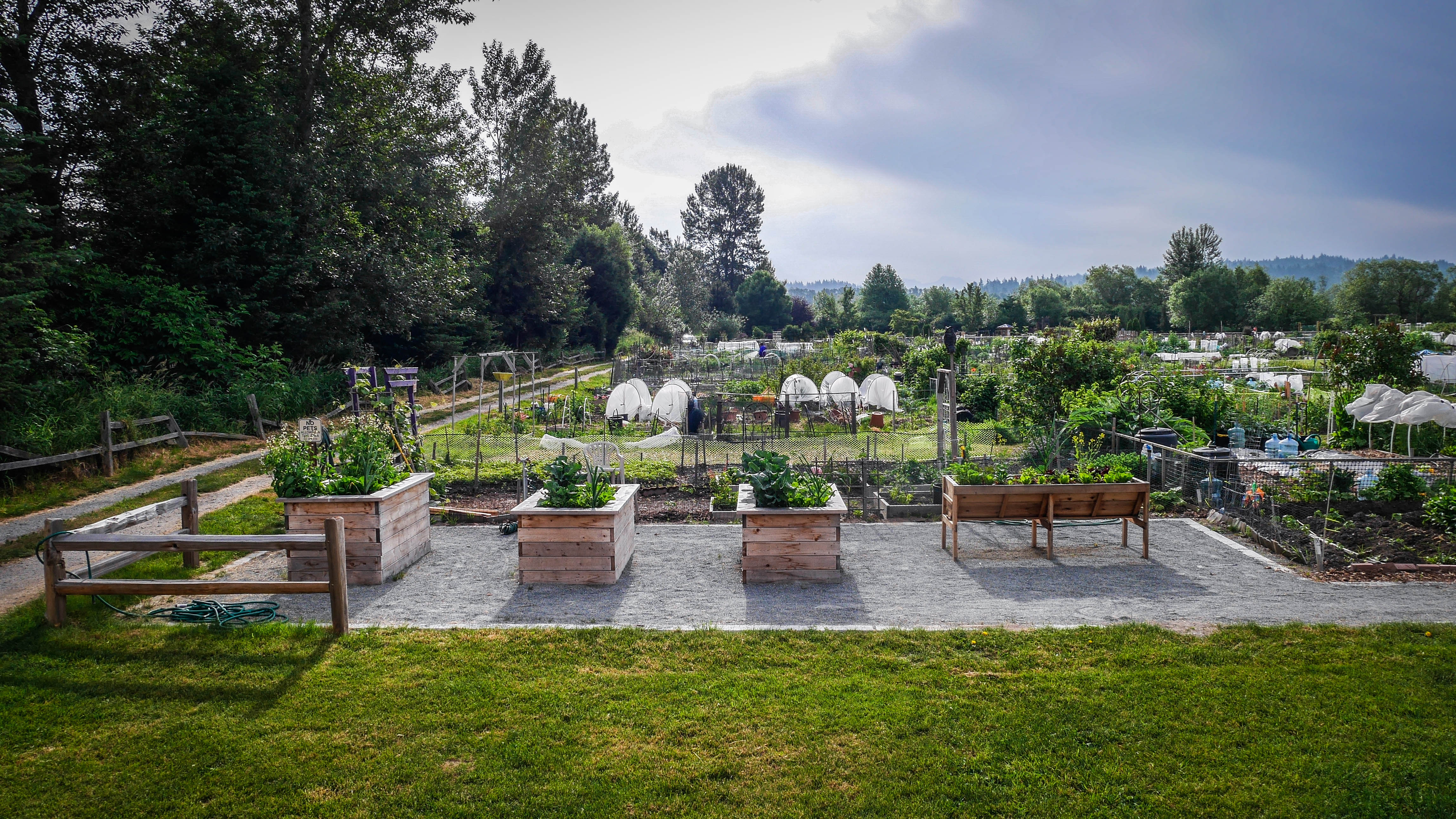 Drumroll, please: Introducing CHOMP!, King County’s first Local Food and Sustainable Living Festival.