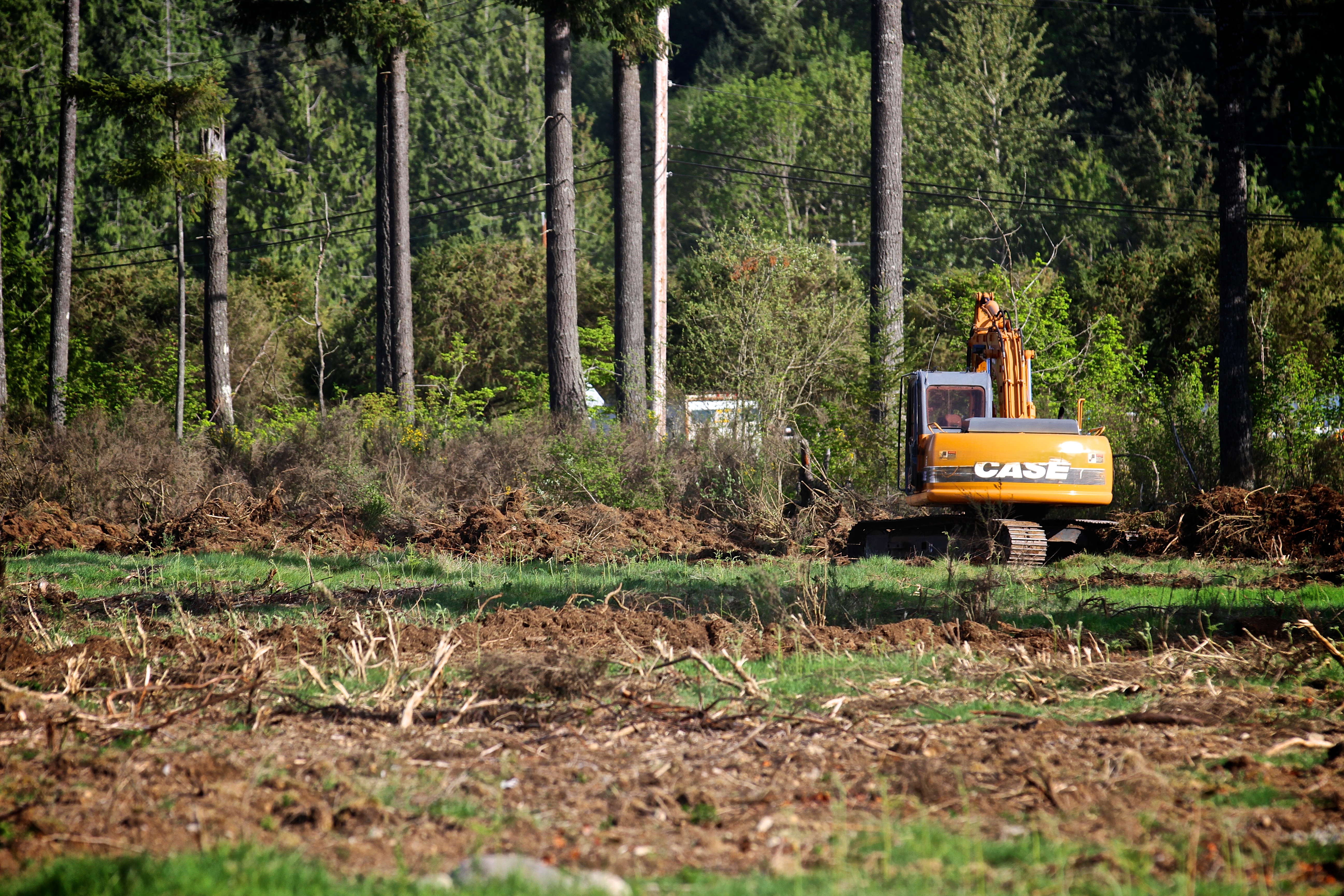 Playground Construction Alert: Ravensdale