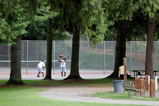 Parks Construction Alerts: Five Mile Lake and Cottage Lake parks