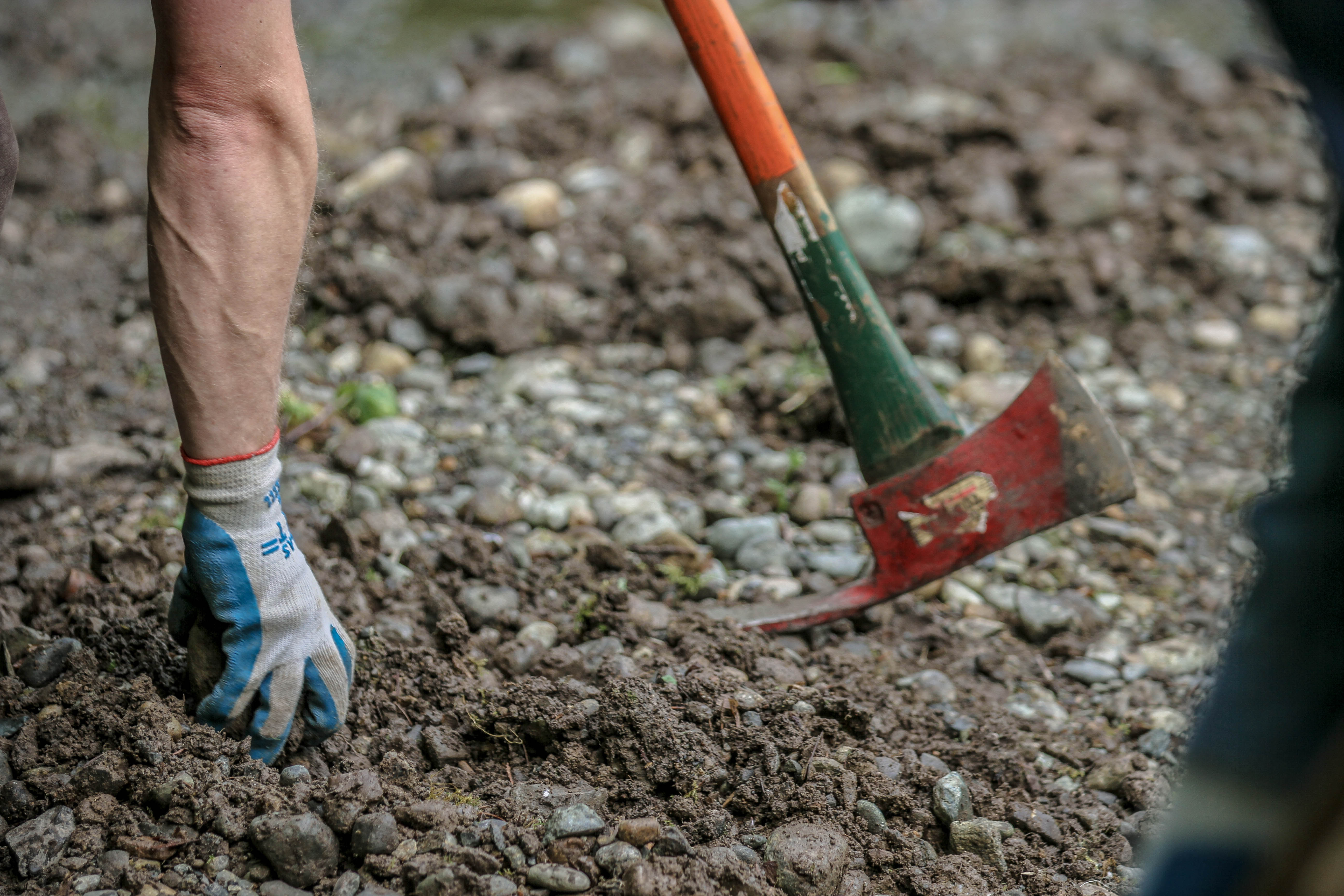 Volunteer Opportunity 6/25: Duthie Hill Park