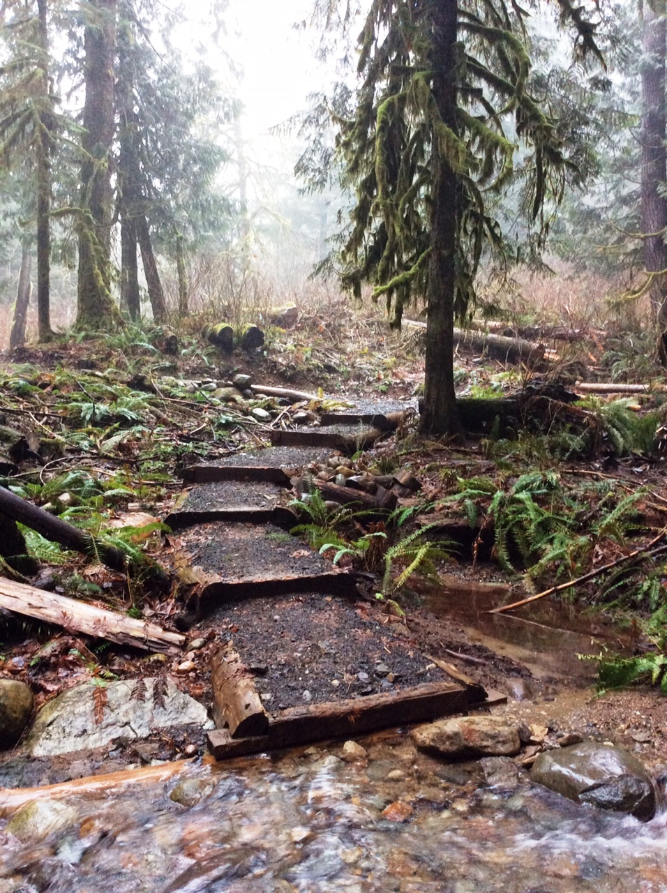 3 underappreciated trails to check out on National Trails Day!