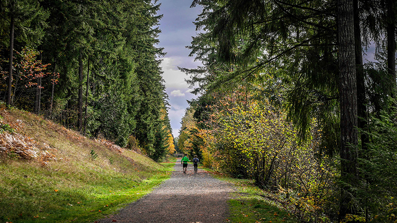 Trail Spotlight: Green to Cedar Rivers