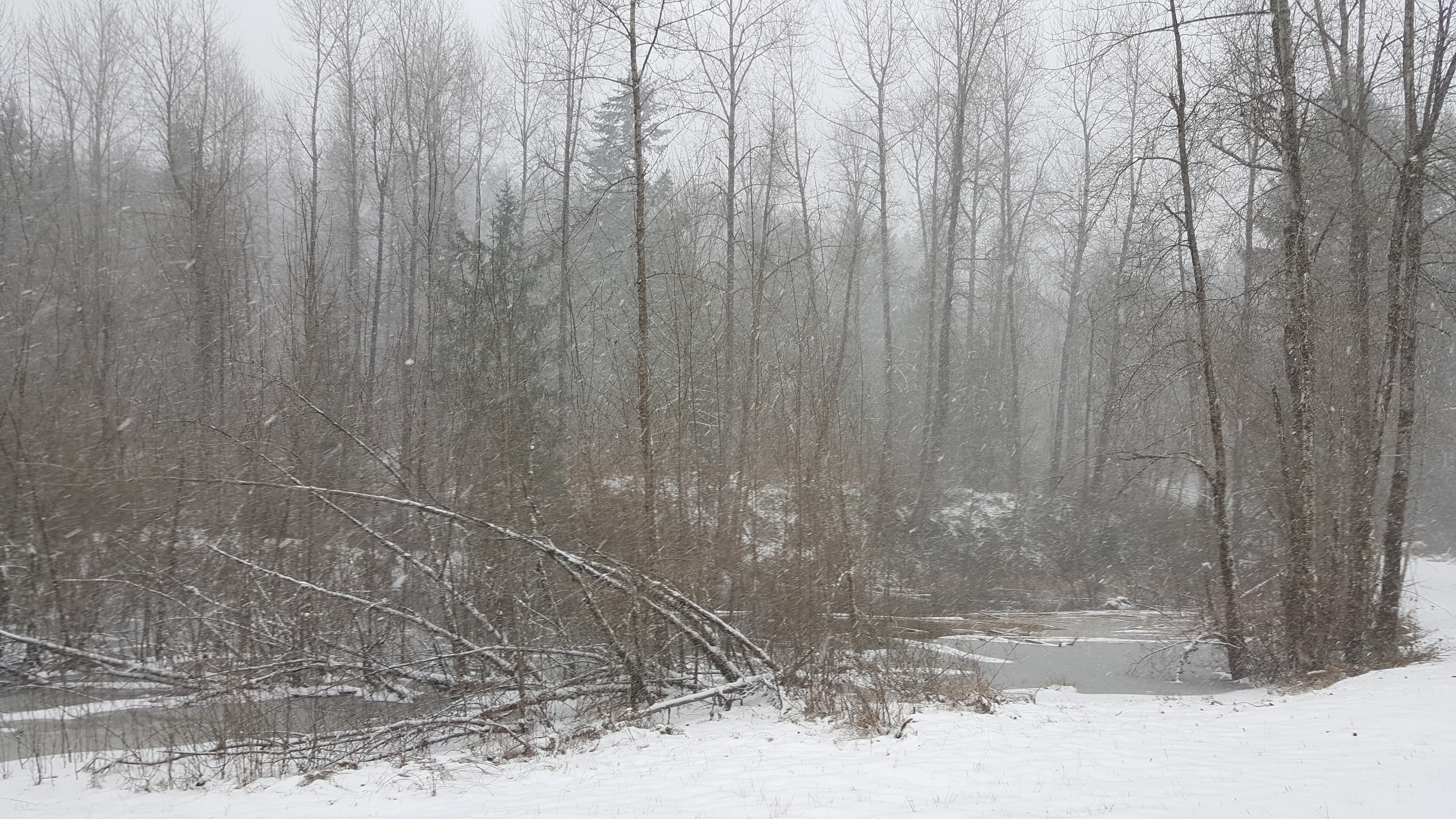 Random Photo Post: Taylor Mountain This Morning