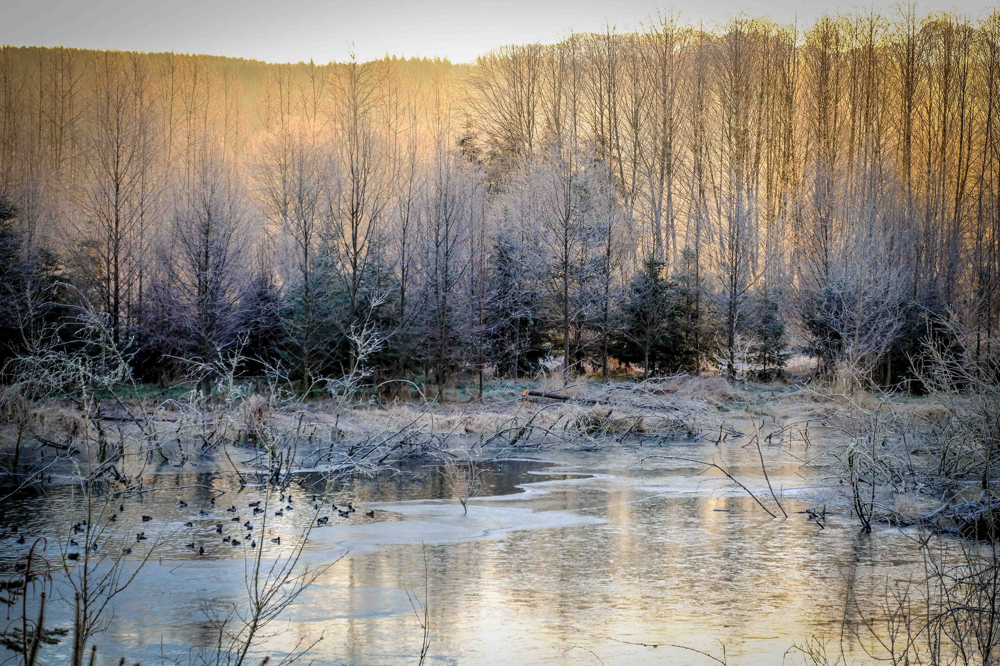 Random Photo Post: Chinook Bend on an icy morning