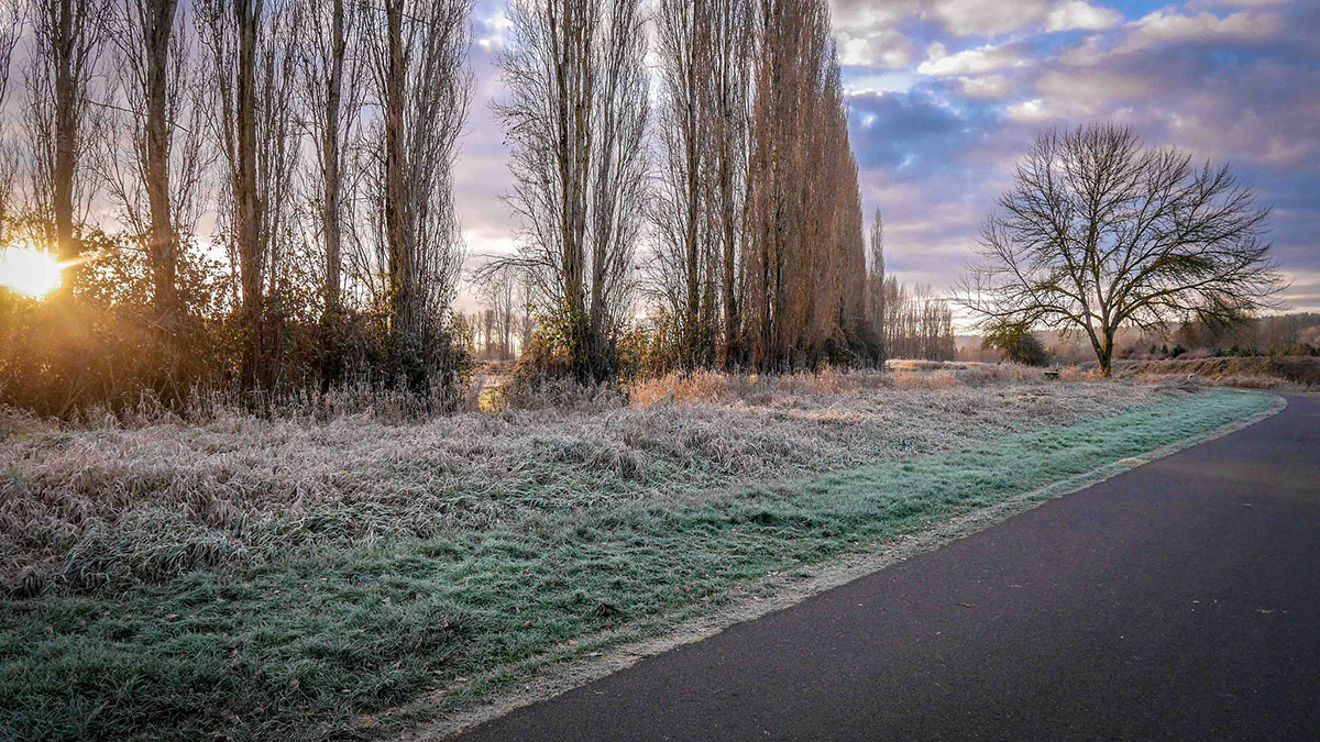 Trail Spotlight: Sammamish River Trail