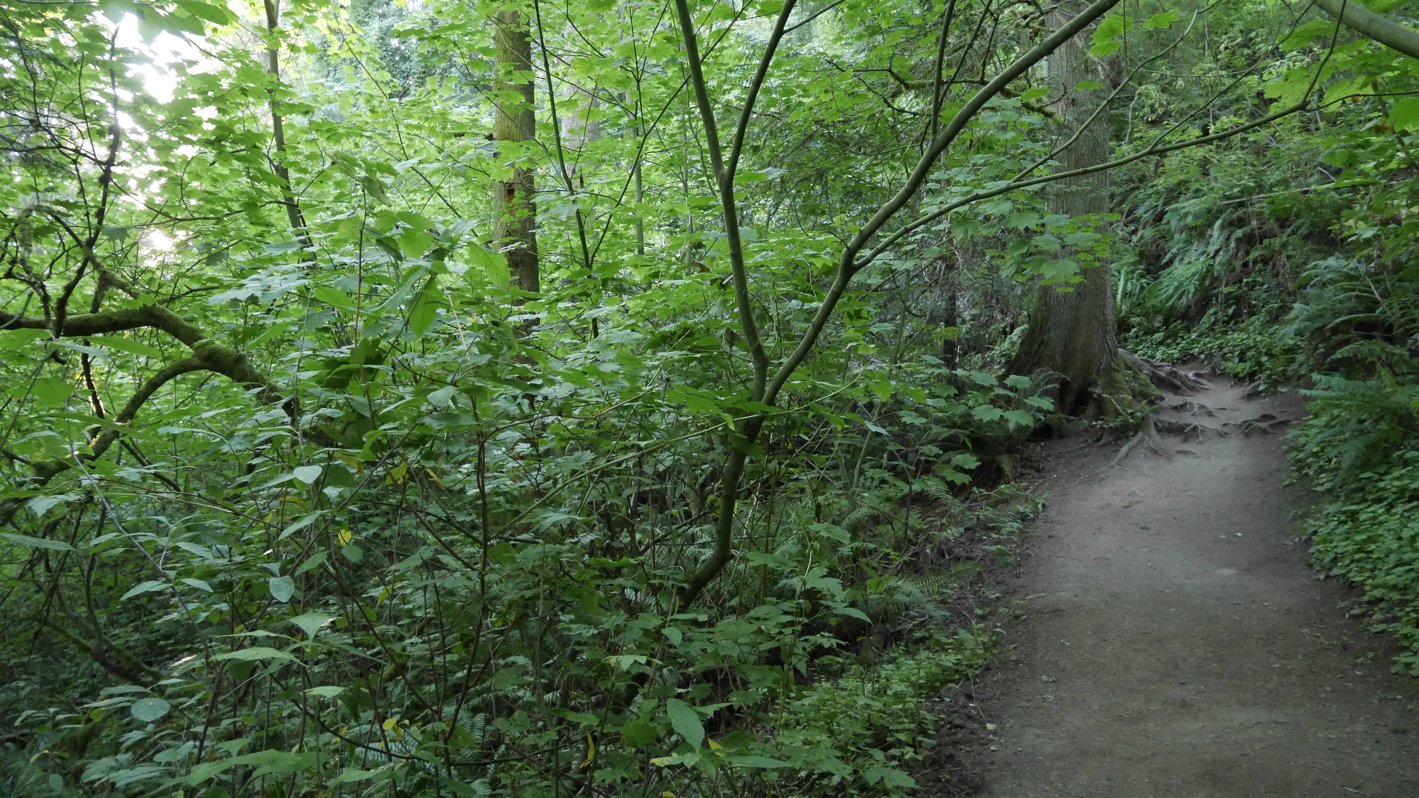 Ways to enjoy 215-miles of backcountry trails