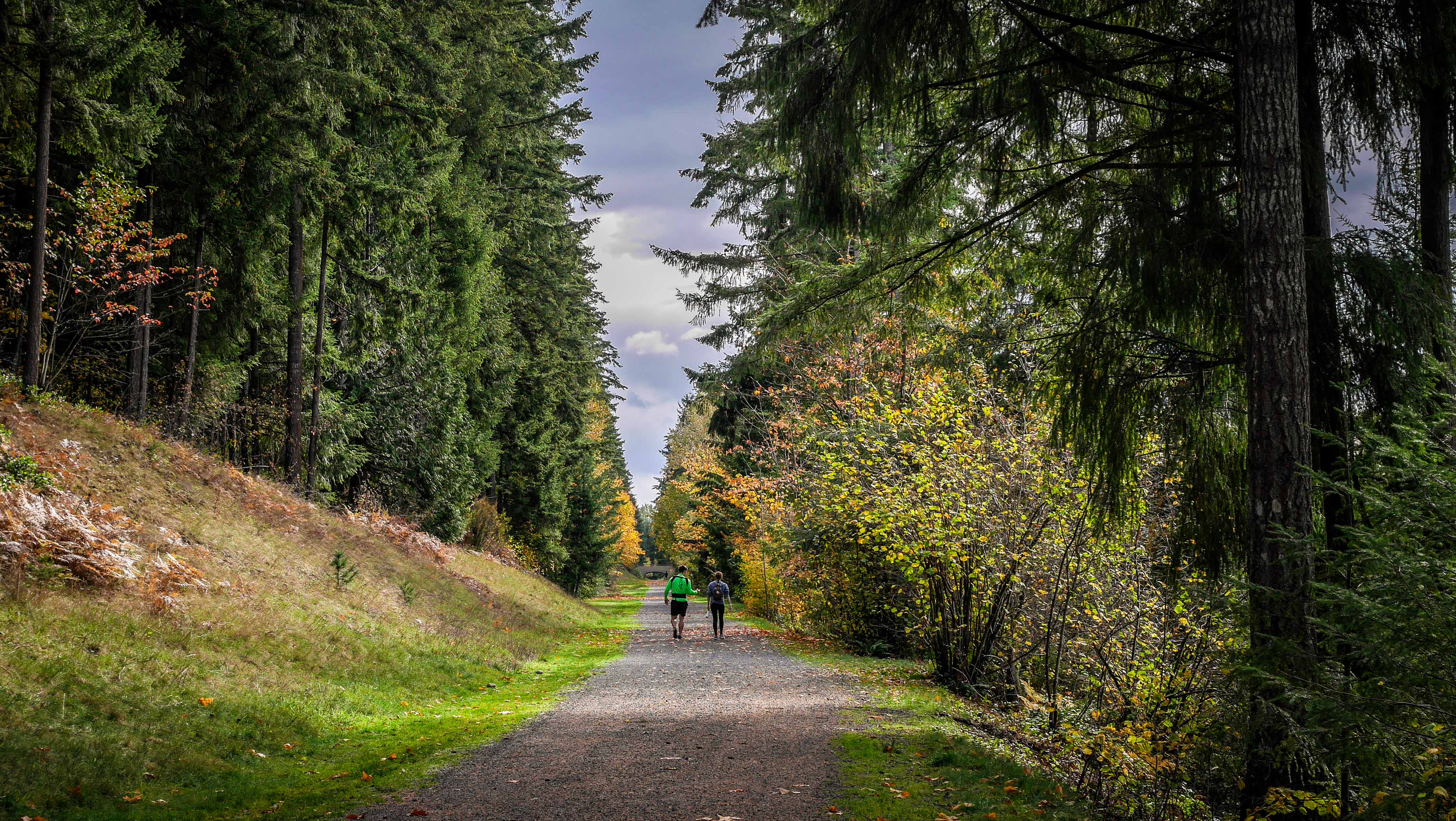 Join the conversation and give your input on these Green to Cedar Rivers Trail designs!