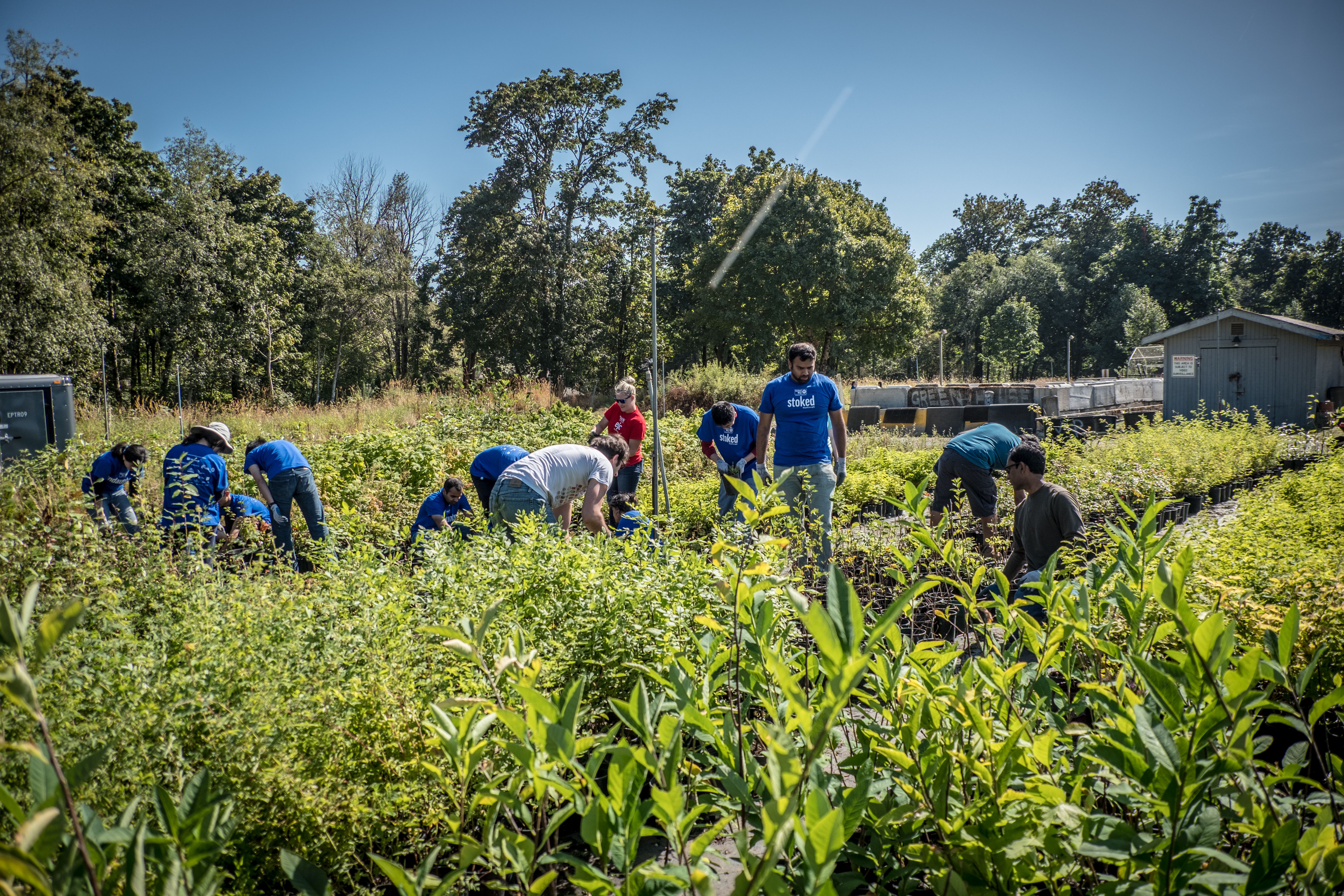 Day of Caring Re-cap