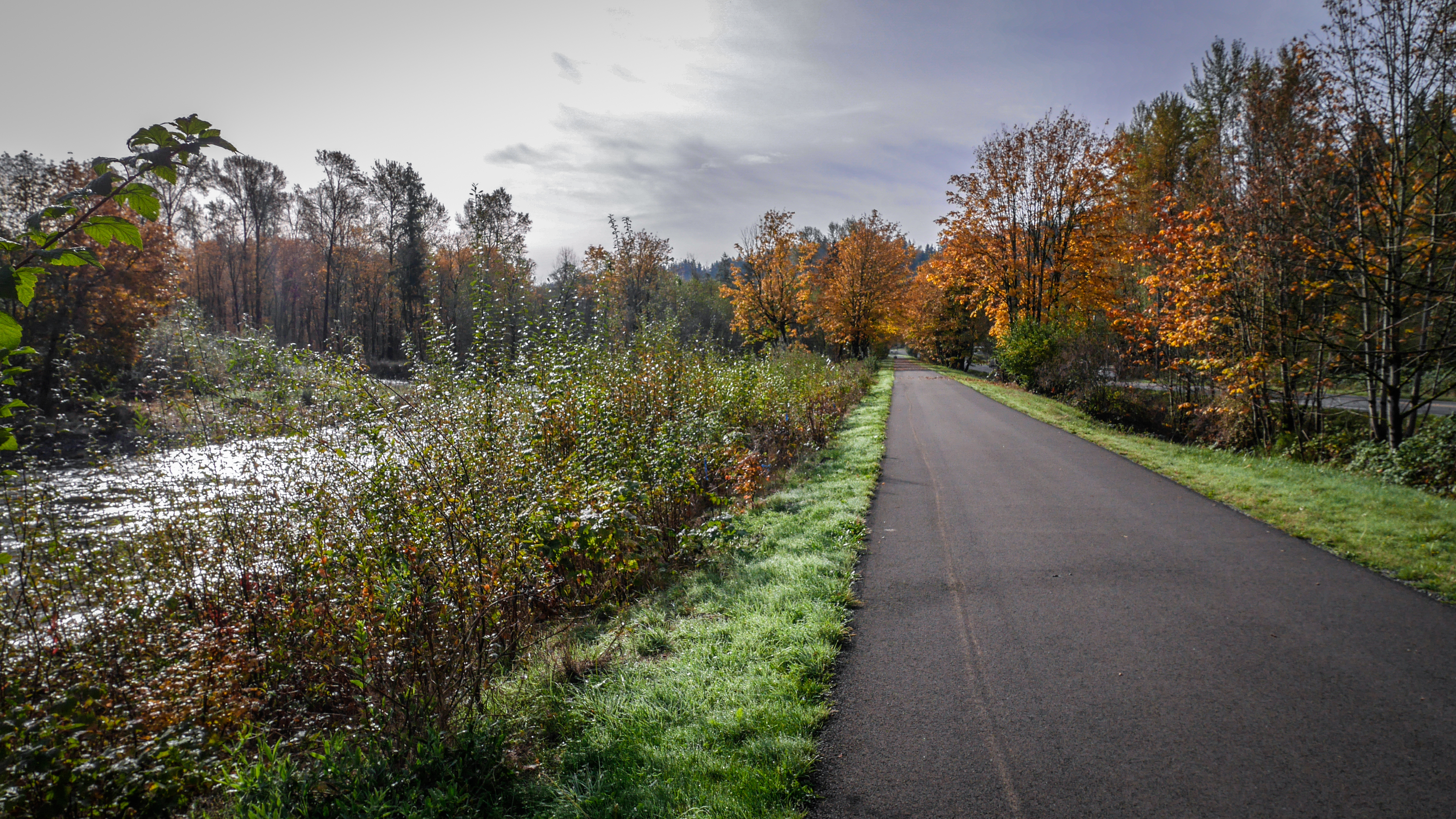 #OptOutside on the Cedar River Trail