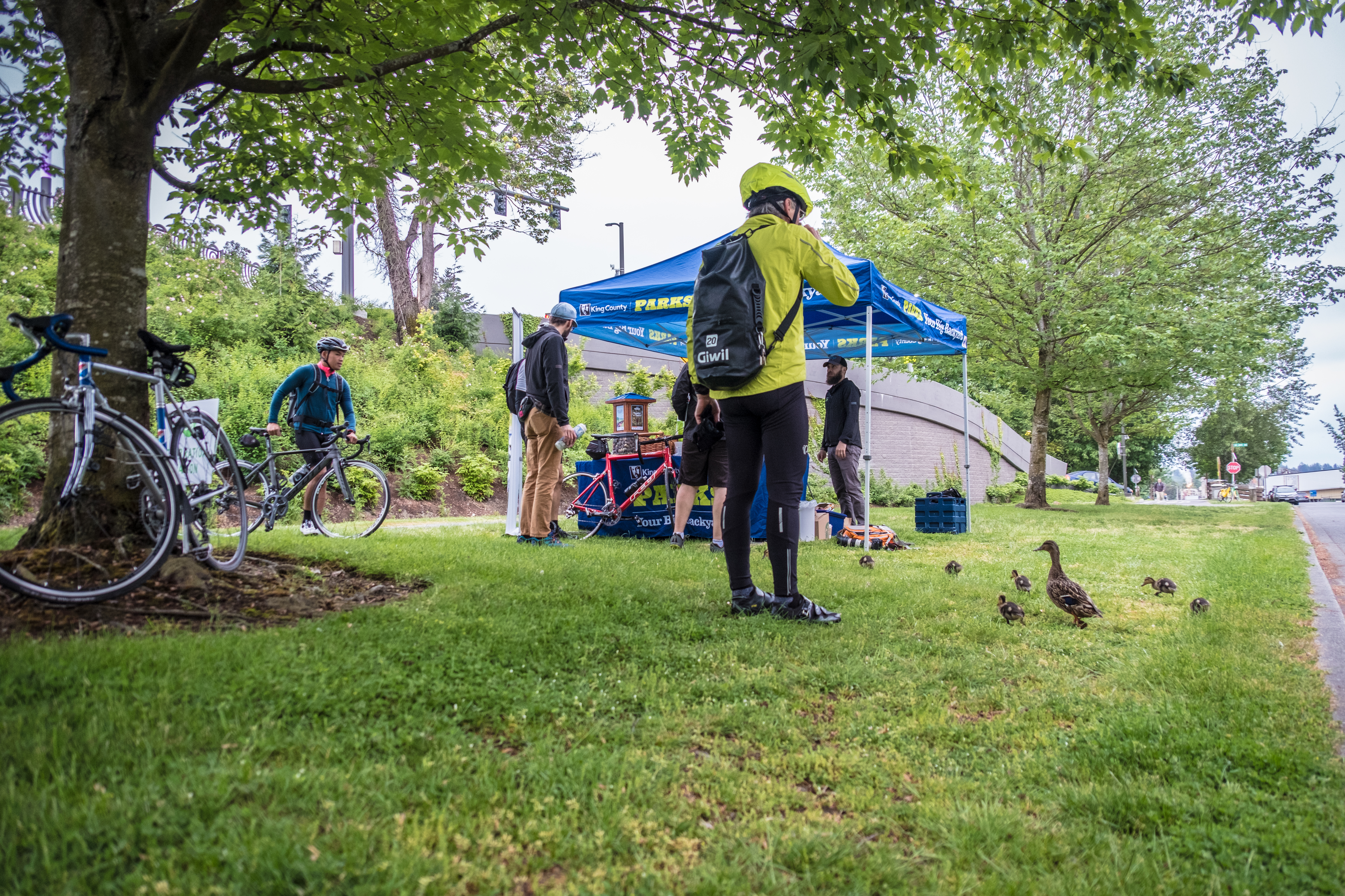 Bike Everywhere Day 2018: Ducklings, rabbits and swag