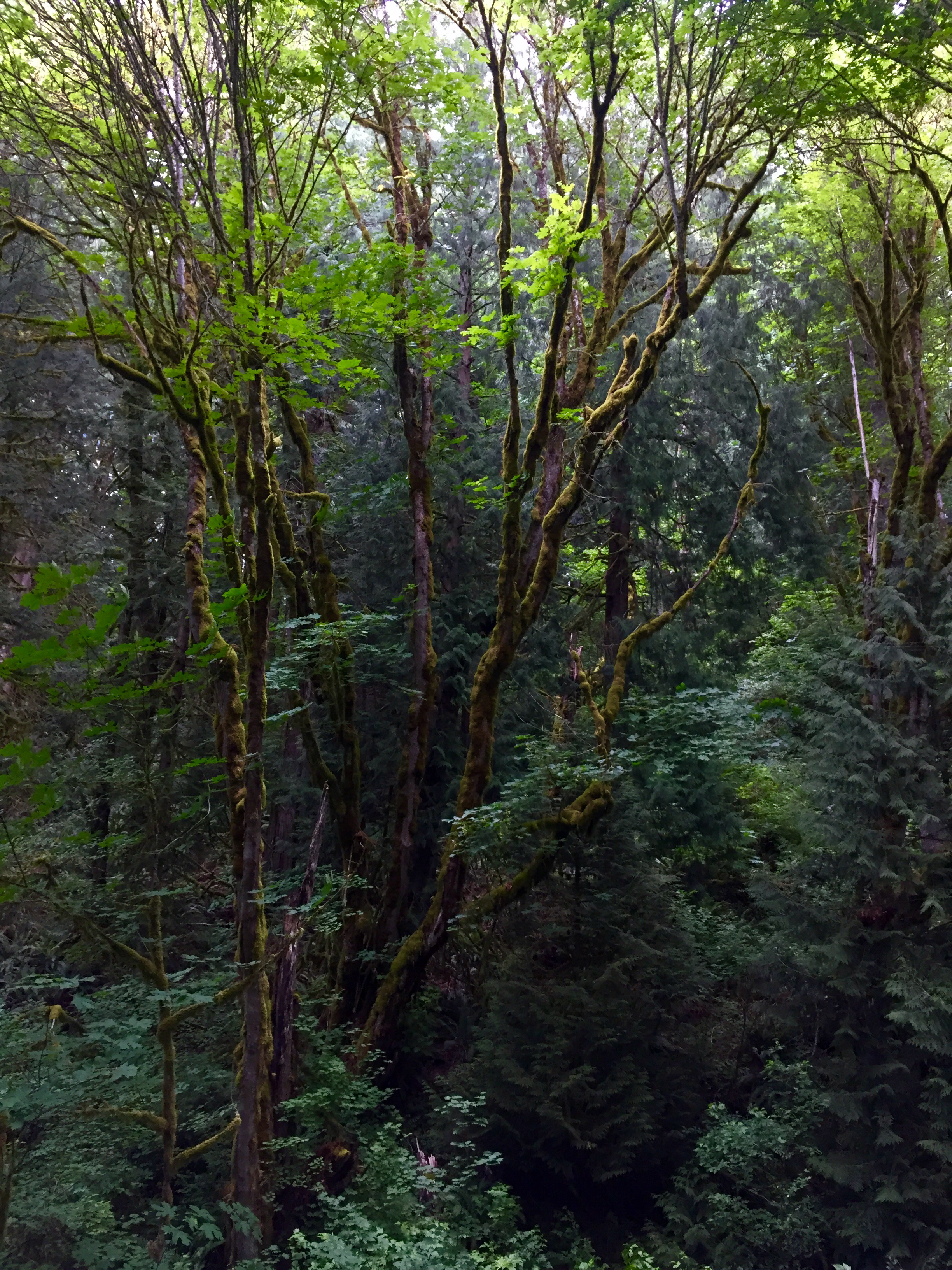 We’ve got a #PicturingTrails winner!