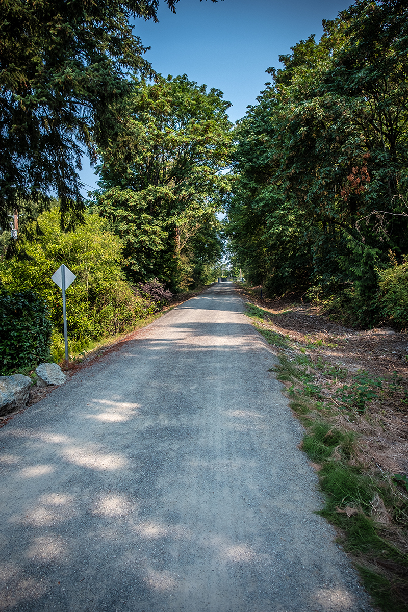 Interim Trail on the Eastside Rail Corridor