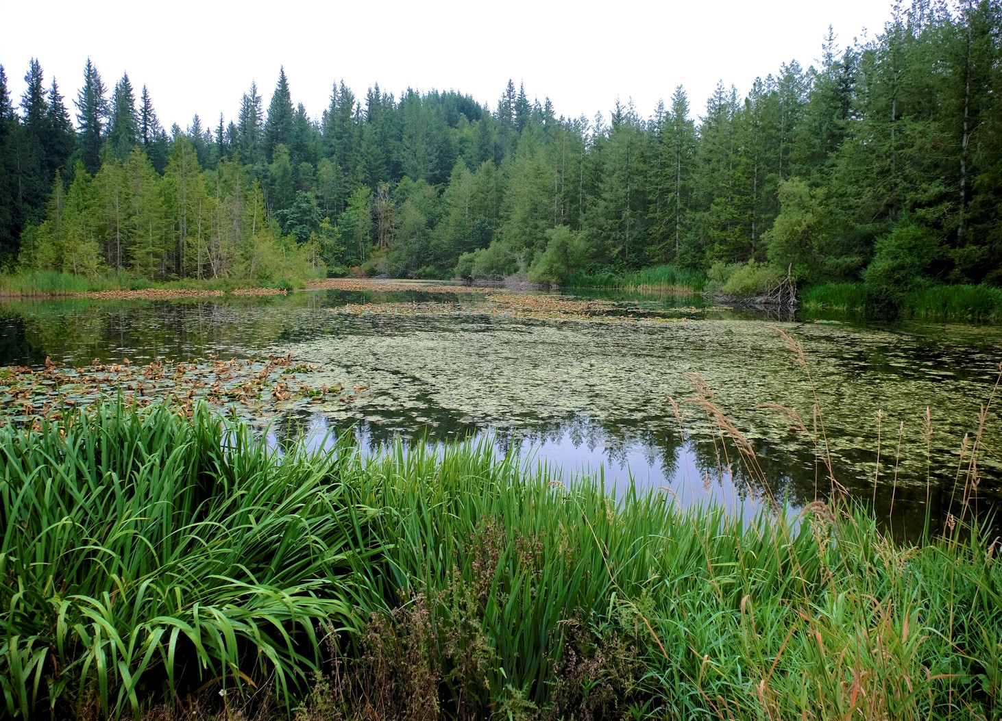 Your Big Backyard is Getting Bigger