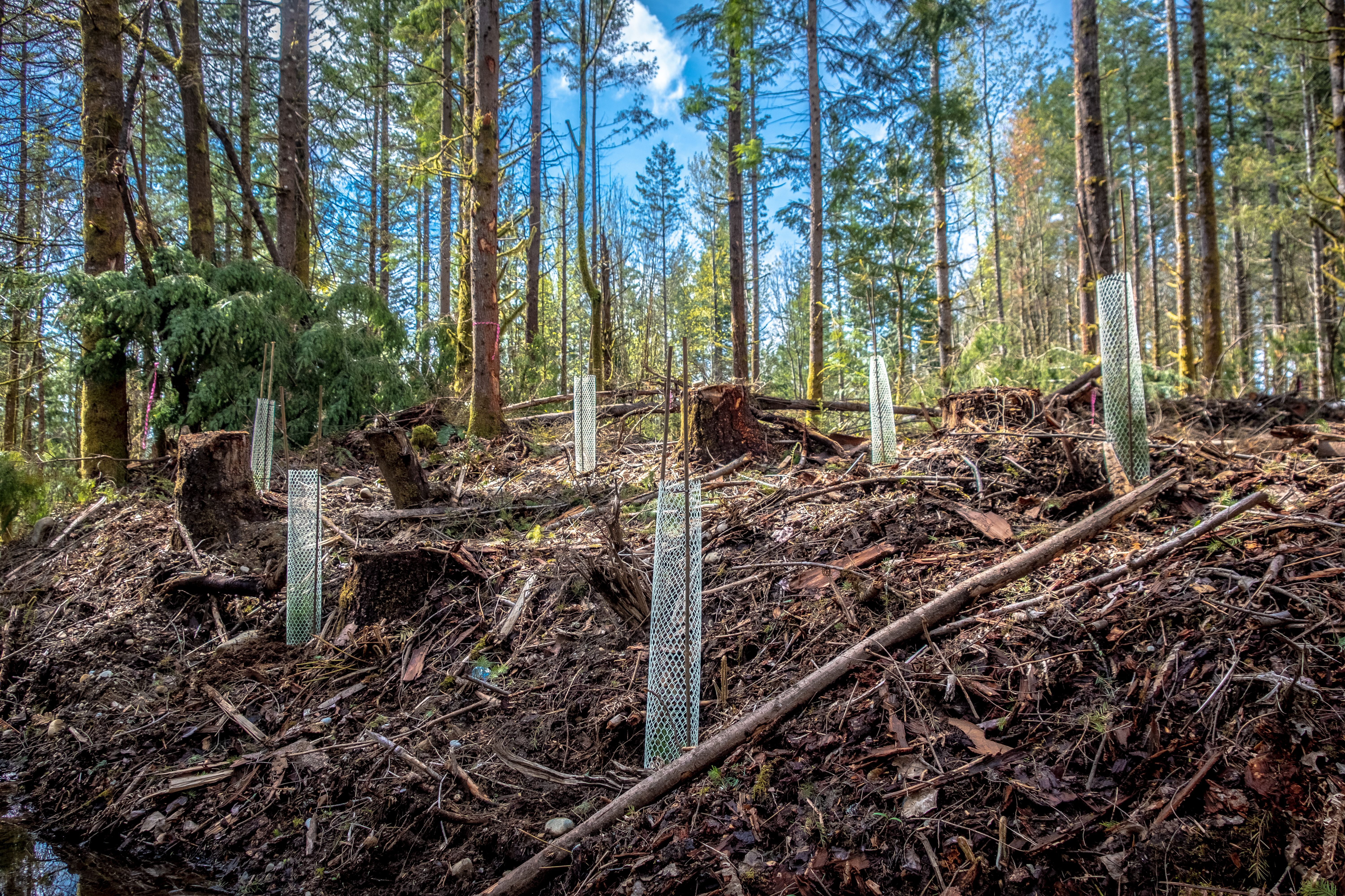 Another Planting Season in the Bag