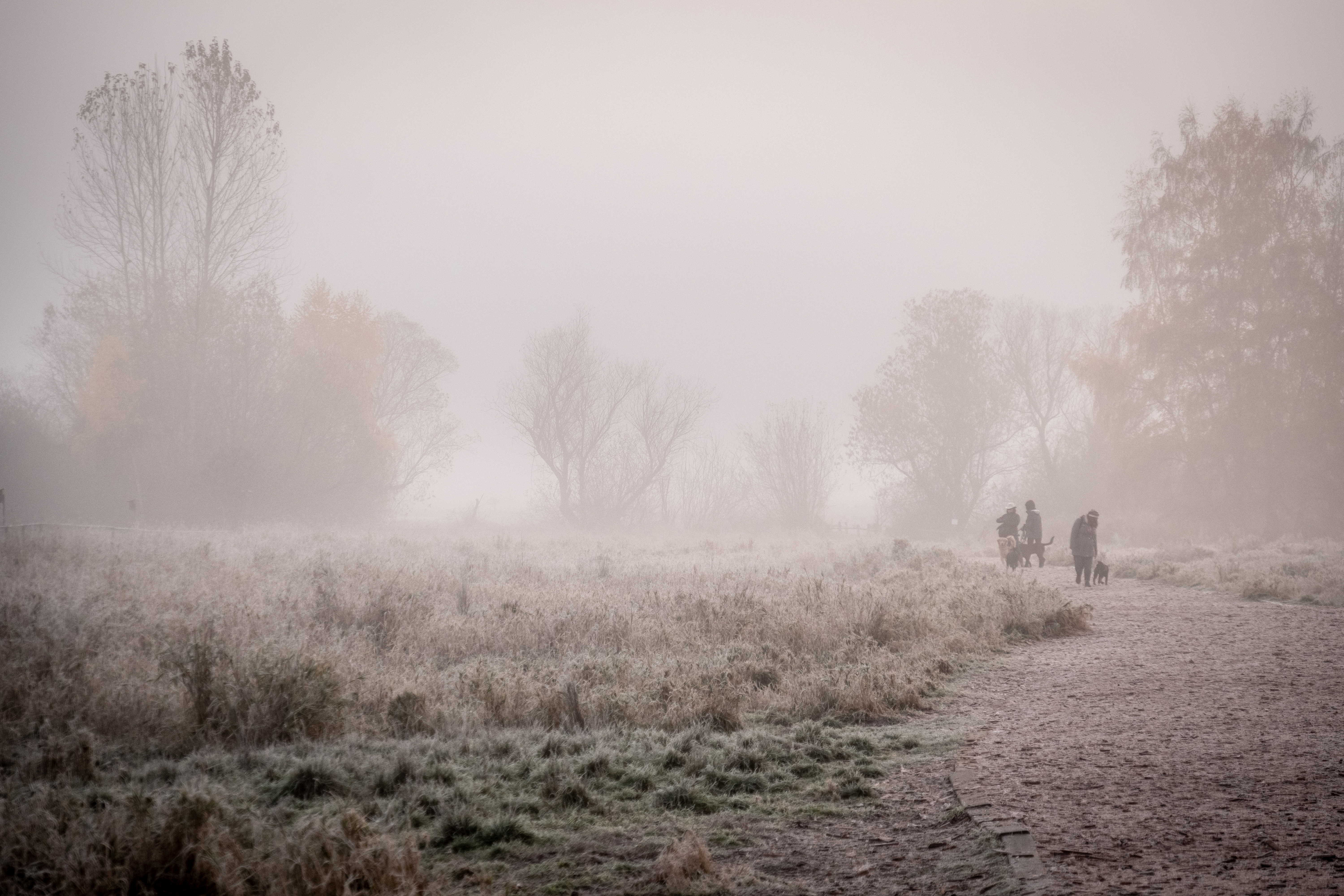 Pro-tips for the Holidays