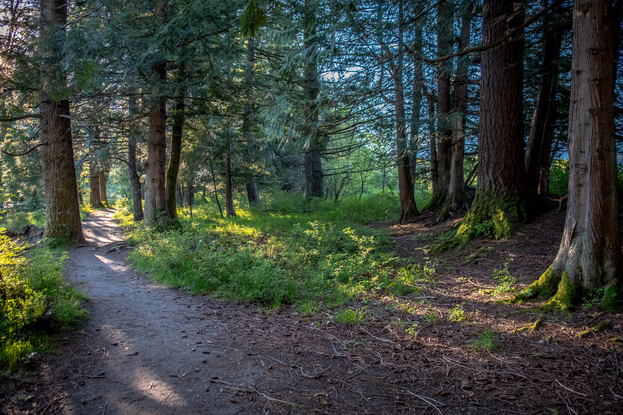 Top 4 trails and parks to kick your cabin fever