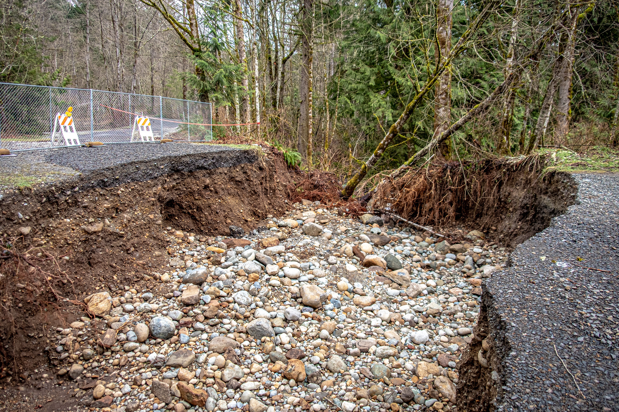 Update: Taylor Mountain Trail Conditions