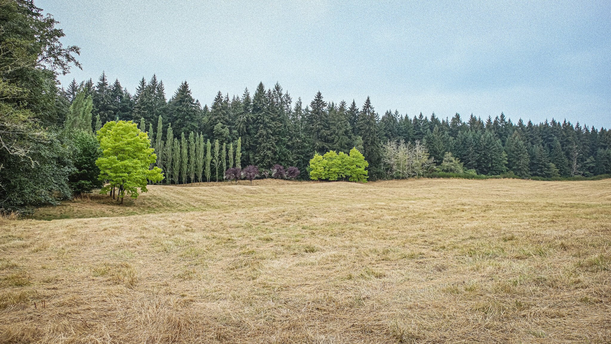 King County Parks acquires more than 100 acres on Vashon