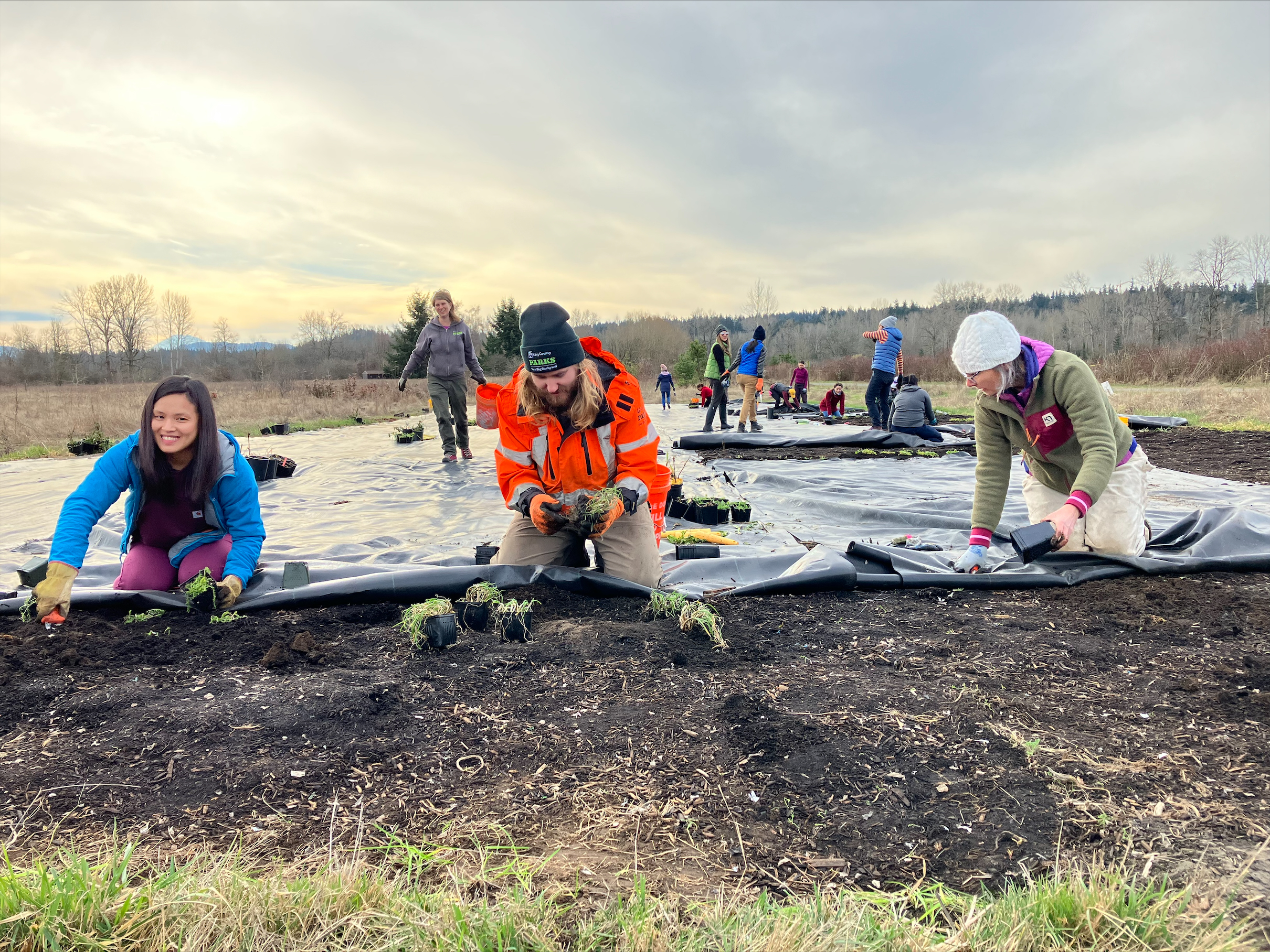 Enhancing Bird Habitat at Marymoor Park 