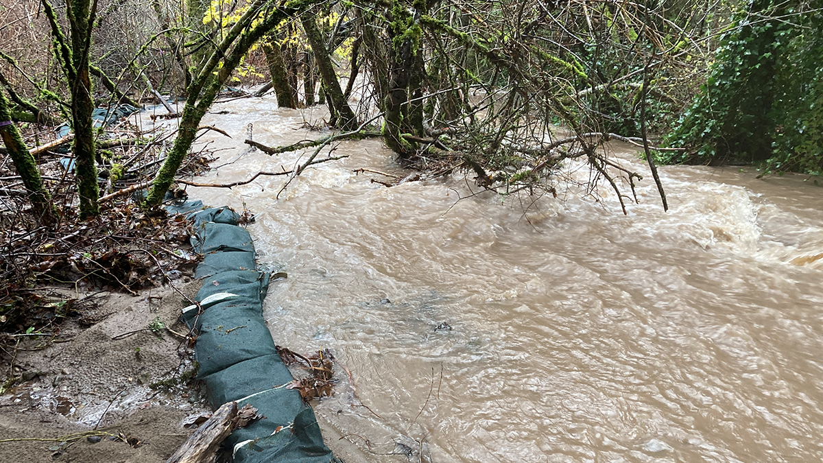 Parks and Flood Recovery